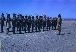 ���� ������ ��� ��� ����