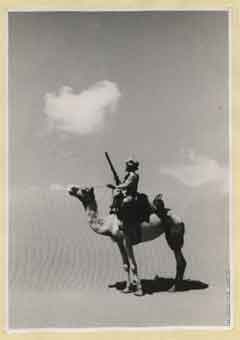 ���� ������ ��� ��� ����