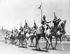 ���� ������ ��� ��� ����