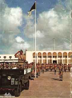 ���� ������ ��� ��� ����