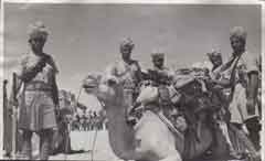 ���� ������ ��� ��� ����