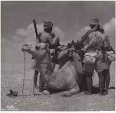 ���� ������ ��� ��� ����