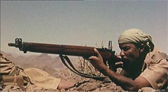 ���� ������ ��� ��� ����