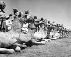 �� ��� 1945� ��� ��� ��� ������ ��� ��� ��������� ���� �� ����� �����