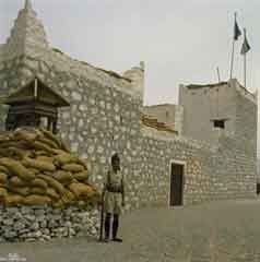 ���� ������ ��� ��� ����