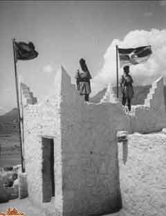 ���� ������ ��� ��� ����