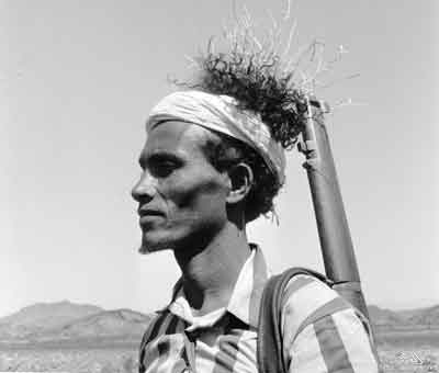 ���� ������ ��� ��� ����