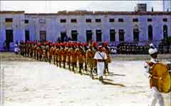 ���� ������ ��� ��� ����