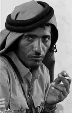 ���� ������ ��� ��� ����