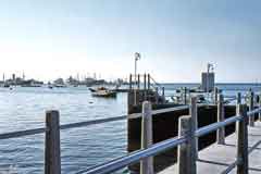 ���� ������ ��� ��� ����