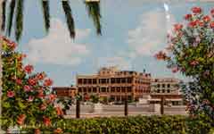 ���� ������ ��� ��� ����