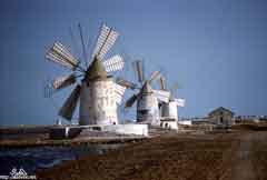 ���� ������ ��� ��� ����