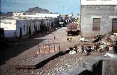 ���� ������ ��� ��� ����