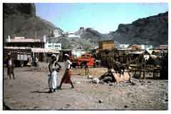 ���� ������ ��� ��� ����