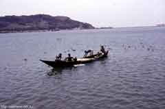 ���� ������ ��� ��� ����