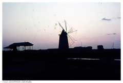 ���� ������ ��� ��� ����