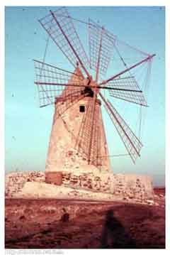 ���� ������ ��� ��� ����