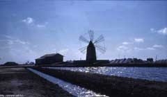 ���� ������ ��� ��� ����