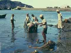 ���� ������ ��� ��� ����