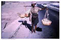 ���� ������ ��� ��� ����