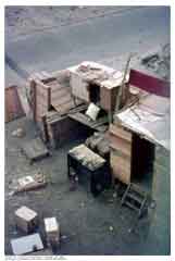 ���� ������ ��� ��� ����