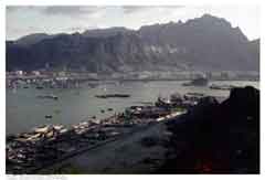 ���� ������ ��� ��� ����