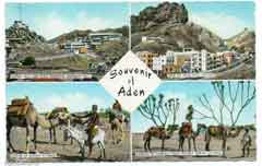 ���� ������ ��� ��� ����