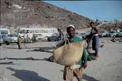 ���� ������ ��� ��� ����