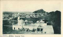 ���� ������ ��� ��� ����