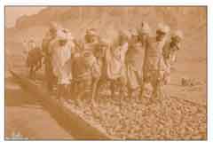 ���� ������ ��� ��� ����