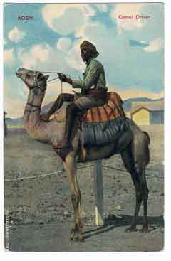 ���� ������ ��� ��� ����