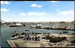 ���� ������ ��� ��� ����