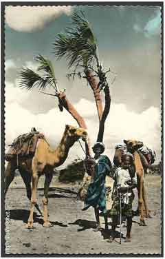 ���� ������ ��� ��� ����