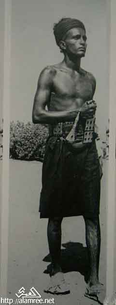 ���� ������ ��� ��� ����