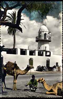 ���� ������ ��� ��� ����