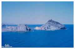 ���� ������ ��� ��� ����