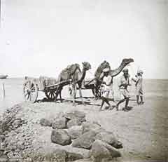 ���� ������ ��� ��� ����