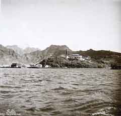 ���� ������ ��� ��� ����