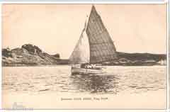 ���� ������ ��� ��� ����