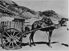 ���� ������ ��� ��� ����