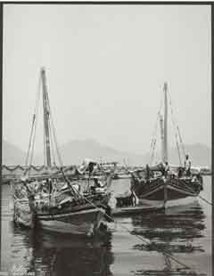 ���� ������ ��� ��� ����