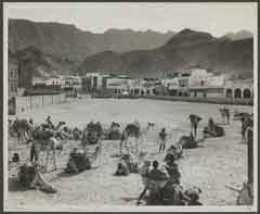 ���� ������ ��� ��� ����