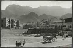 ���� ������ ��� ��� ����