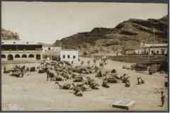 ���� ������ ��� ��� ����