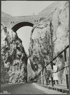 ���� ������ ��� ��� ����