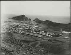 ���� ������ ��� ��� ����