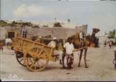 ���� ������ ��� ��� ����