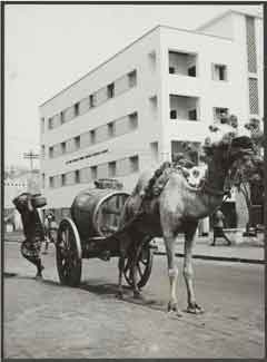 ���� ������ ��� ��� ����