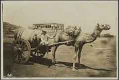 ���� ������ ��� ��� ����