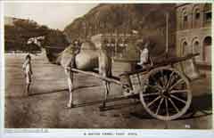 ���� ������ ��� ��� ����